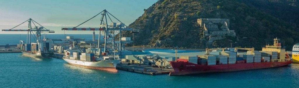 reefer terminal vado apm